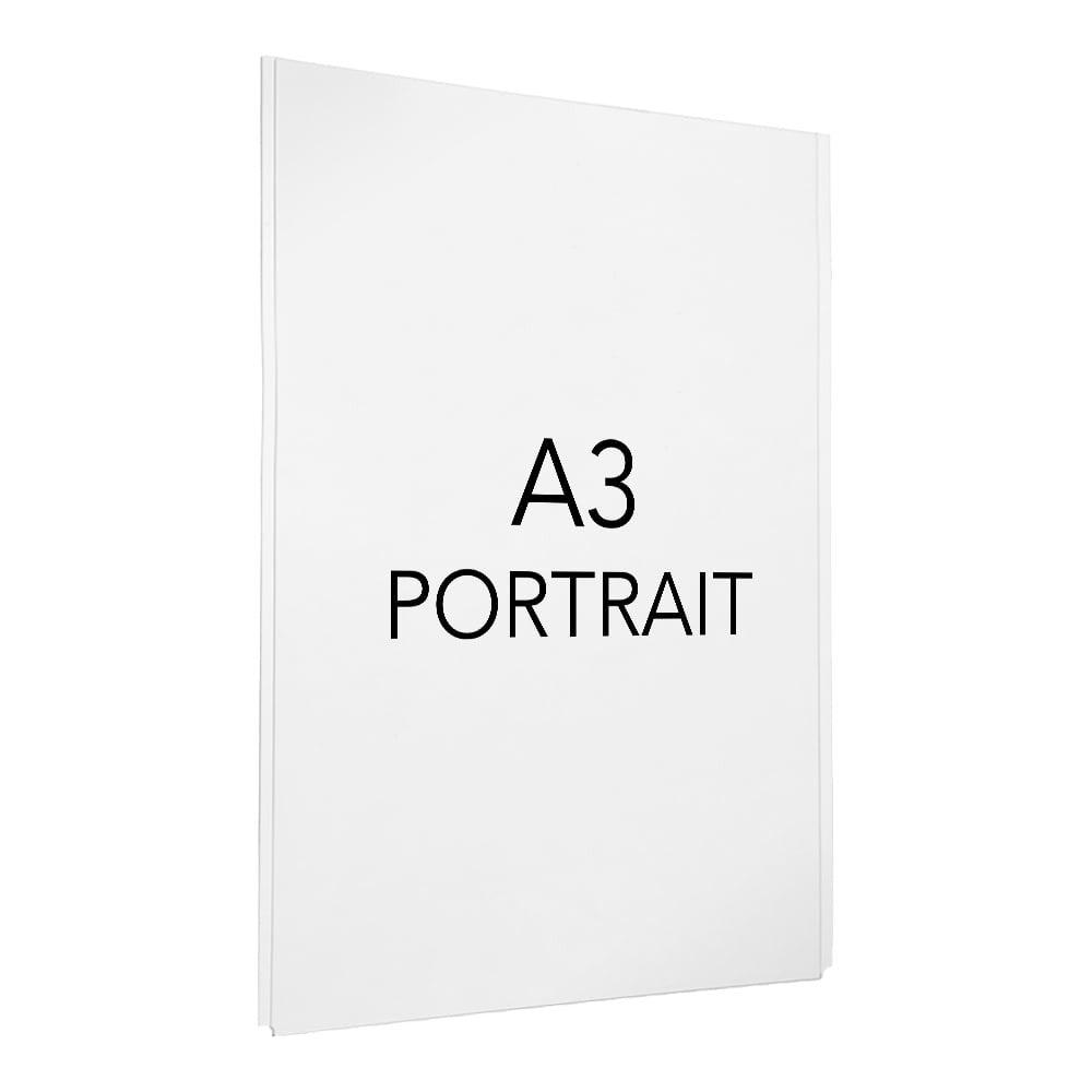 Easy Access Poster Holder - A3 - Cable or Wall-Mounted