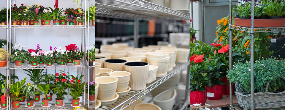 Chrome wire shelving with a selection of plants, pots and planterss 