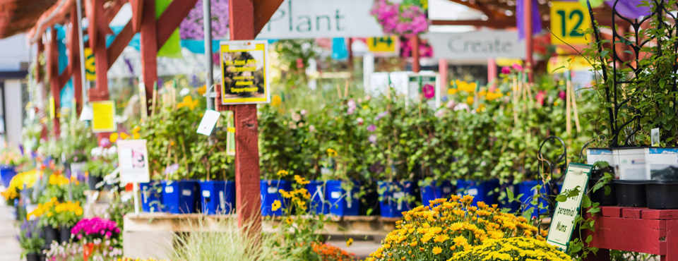 Signs and posters next to plants and flowers in a garden centre